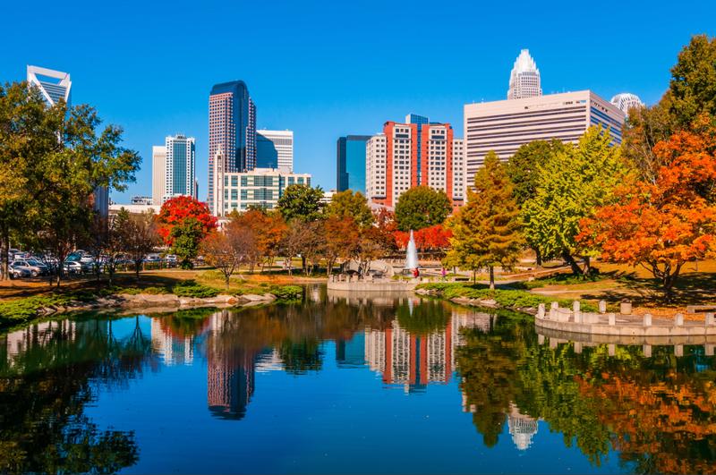 Charlotte stands out for the success of its finance sector, but other industries are blooming as well.